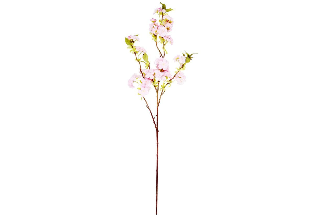 CHERRY BLOSSOM STEM